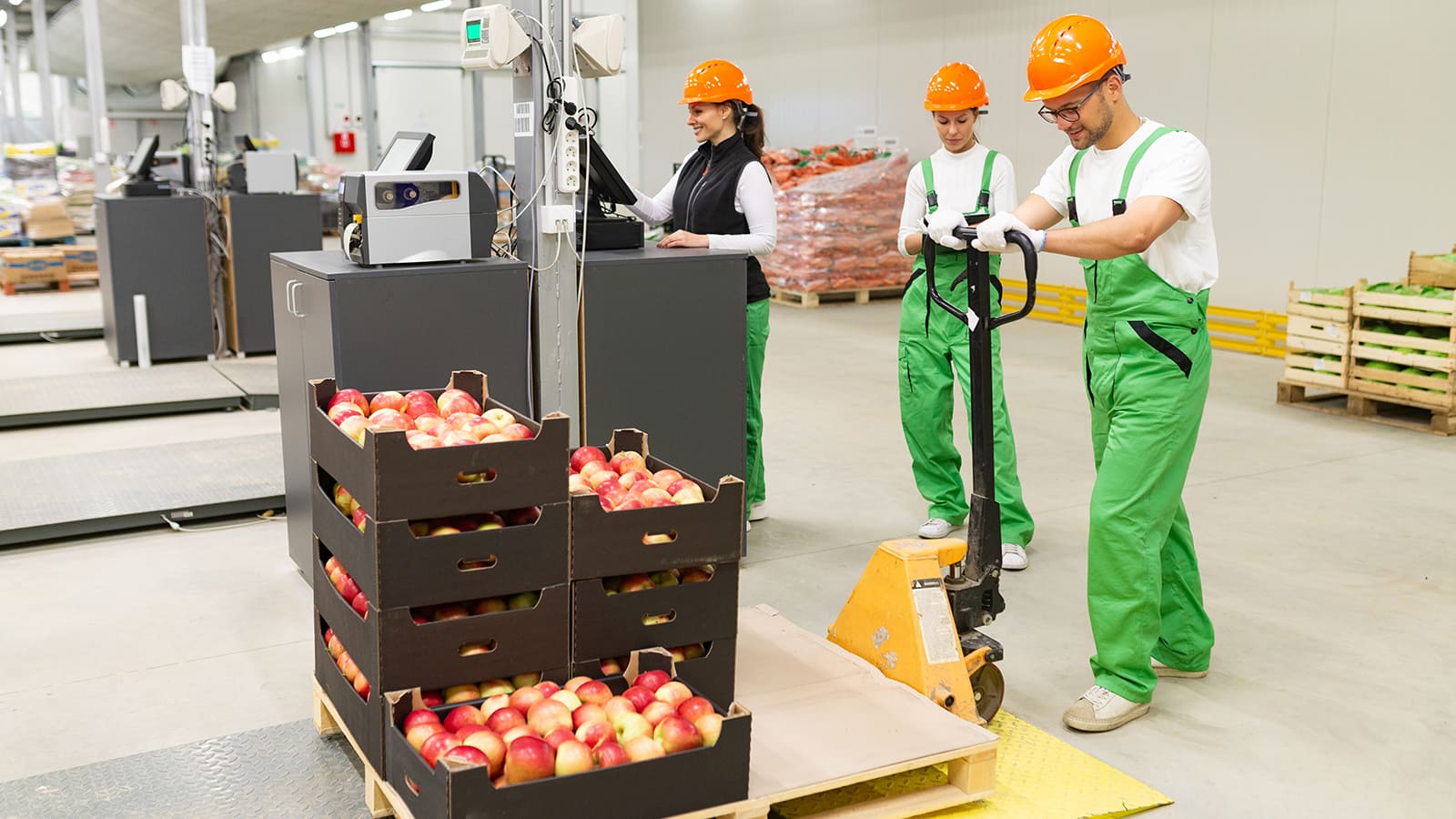 Working at vegetable food warehouse