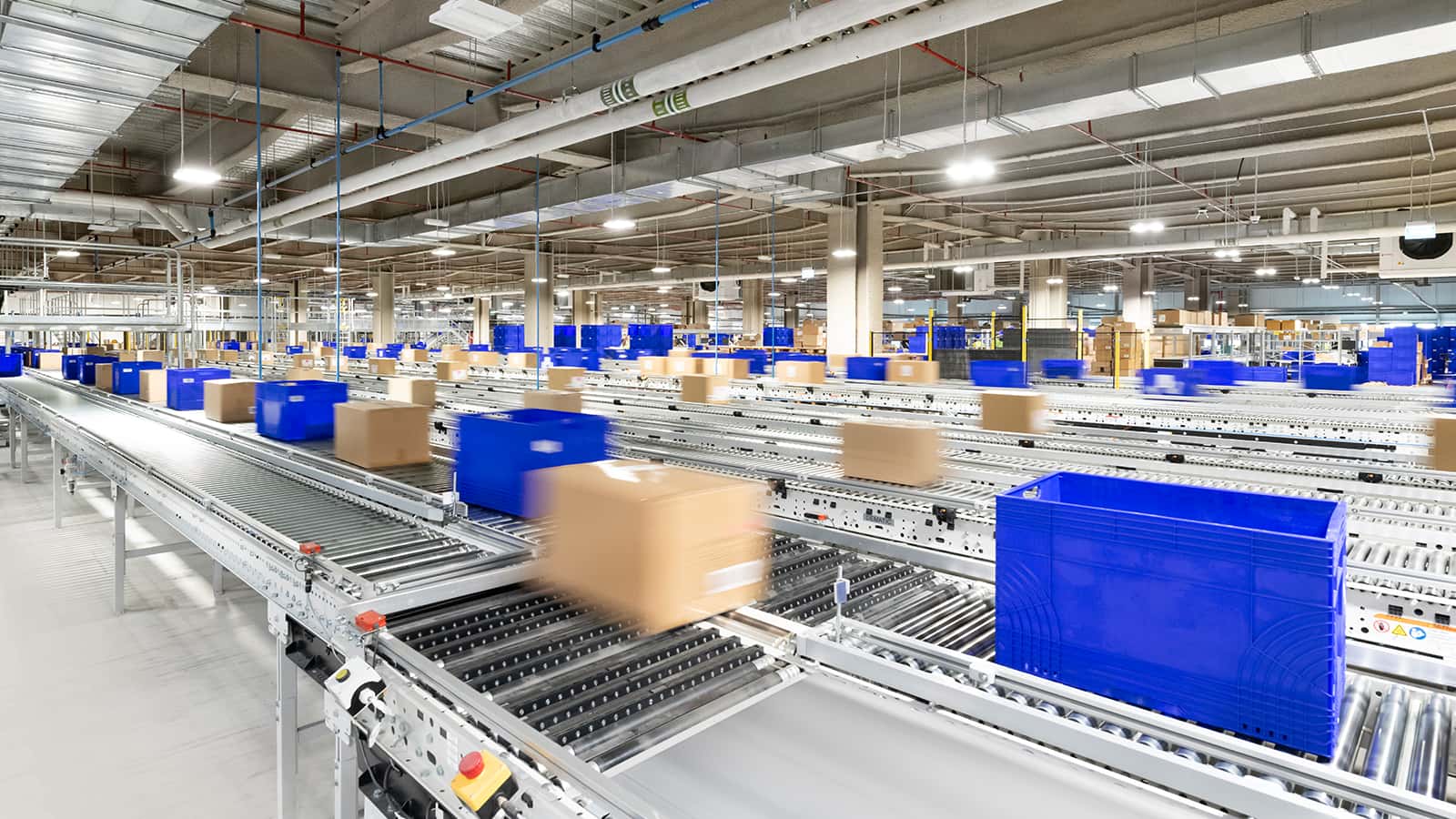 Automatic conveyor 2025