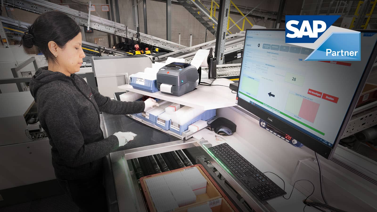 SAP-header3.jpg
