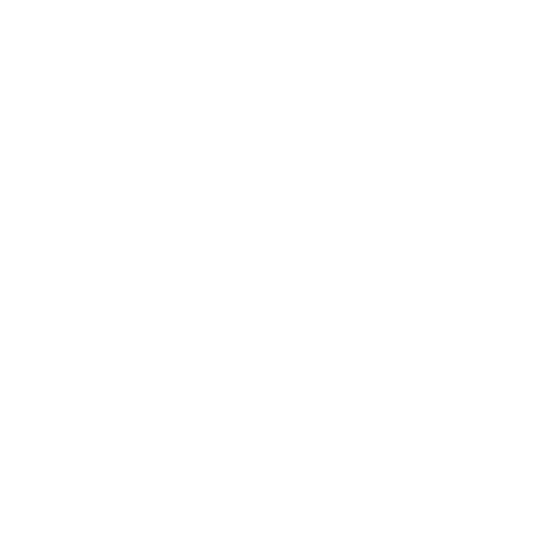 SAP.png