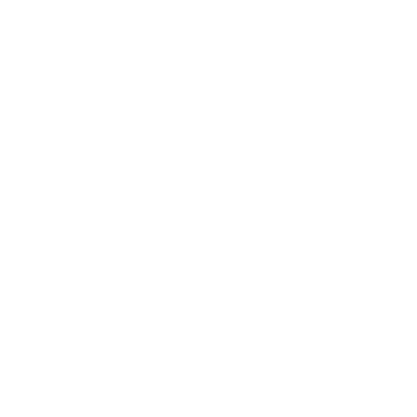 netsuite-icon.png